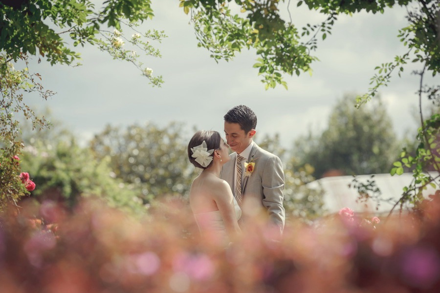 El jardín del&nbsp;amor